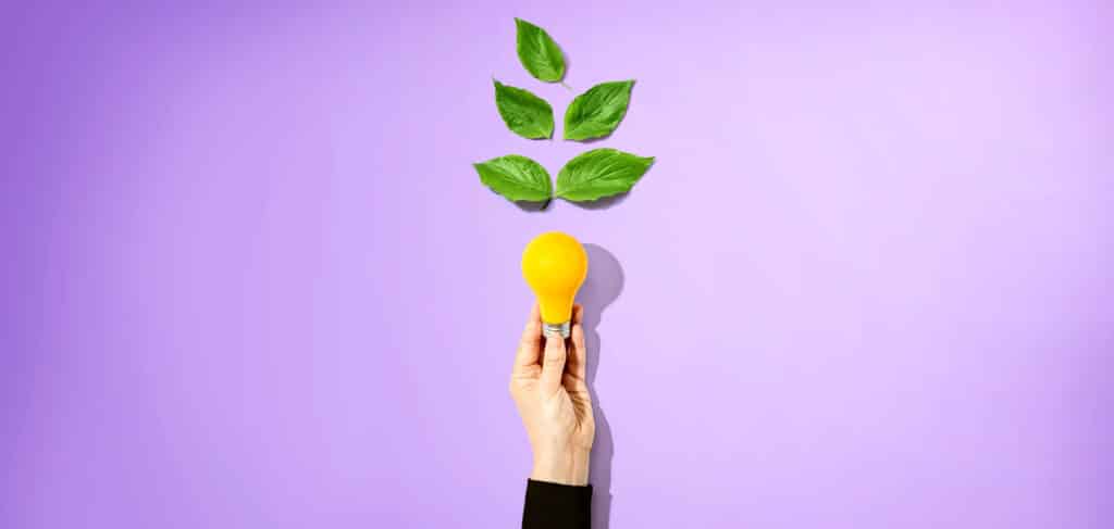 Person holding a light bulbs with green leaves